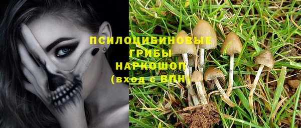 сатива Армянск