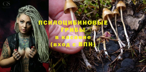 трава Арсеньев