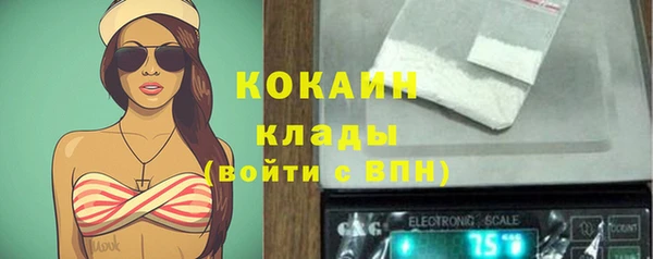 трава Арсеньев