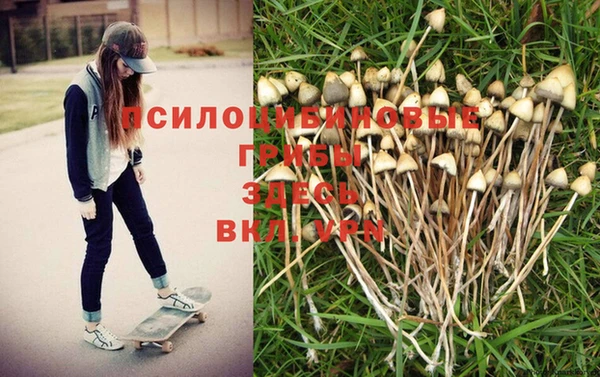 трава Арсеньев