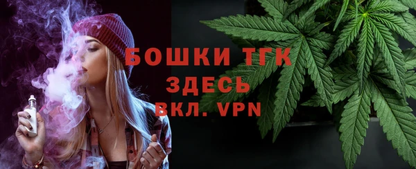 сатива Армянск