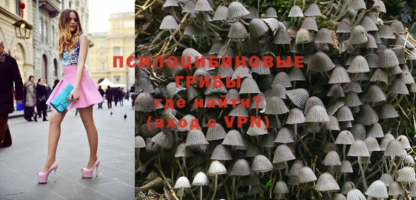 сатива Армянск