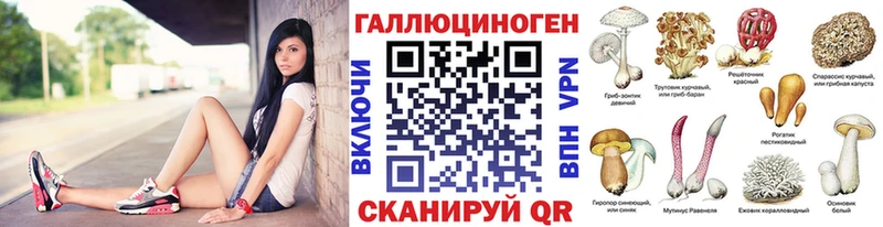 Псилоцибиновые грибы Cubensis  Купить закладки  Берёзовский 